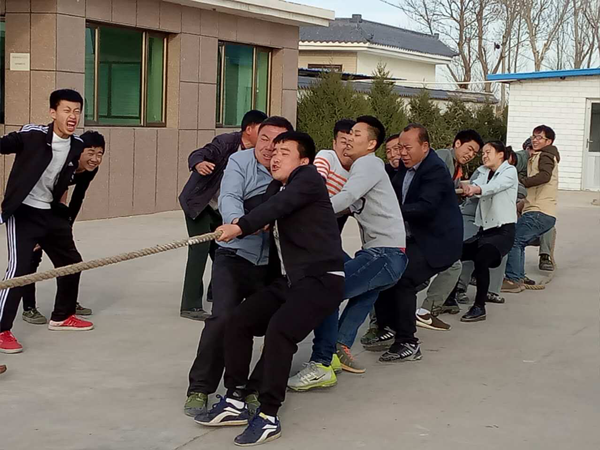 彰顯陽(yáng)晨風(fēng)采，弘揚陽(yáng)晨精神