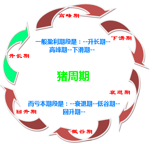 如何破解價(jià)格怪圈 化解“豬周期”風(fēng)險？